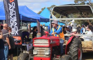 Esses tratores de meados do século 20 ganharam vida em ‘Lights on the Hill’ Esses tratores de meados do século 20 ganharam vida em 'Lights on the Hill'