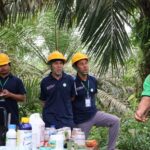 Estratégia Triputra Agro Persada Dongkrak Kualitas Produção e Economia Petani Sawit