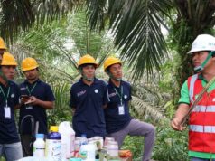 Estratégia Triputra Agro Persada Dongkrak Kualitas Produção e Economia Petani Sawit Estratégia Triputra Agro Persada Dongkrak Kualitas Produção e Economia Petani Sawit