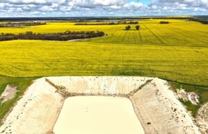 Excelente agregação de seis fazendas na costa sudeste, vendida a compradores locais Excelente agregação de seis fazendas na costa sudeste, vendida a compradores locais