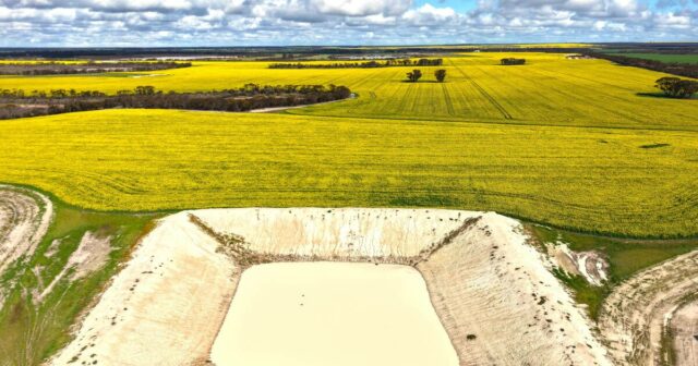 Excelente agregação de seis fazendas na costa sudeste, vendida a compradores locais
