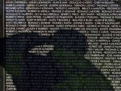 FOTOS – ‘Foi maravilhoso’: comunidade dá boas-vindas ao veterano do Vietnã após voo de honra FOTOS - 'Foi maravilhoso': comunidade dá boas-vindas ao veterano do Vietnã após voo de honra