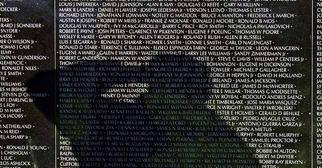 FOTOS - 'Foi maravilhoso': comunidade dá boas-vindas ao veterano do FOTOS - 'Foi maravilhoso': comunidade dá boas-vindas ao veterano do Vietnã após voo de honra