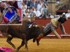Famoso matador espanhol sofre lesão humilhante em erro de tourada Famoso matador espanhol sofre lesão humilhante em erro de tourada