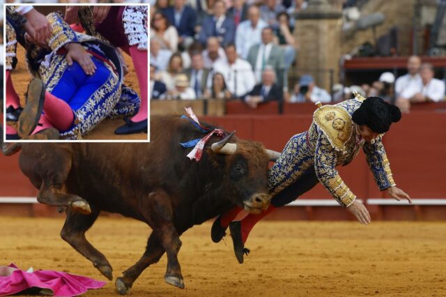 Famoso matador espanhol sofre lesão humilhante em erro de tourada
