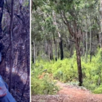 Filha fala após a incrível sobrevivência de um homem de 87 anos na mata