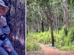 Filha fala após a incrível sobrevivência de um homem de 87 anos na mata Filha fala após a incrível sobrevivência de um homem de 87 anos na mata