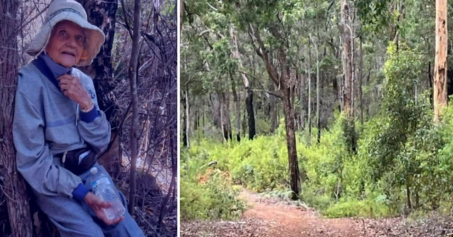 Filha fala após a incrível sobrevivência de um homem de 87 anos na mata
