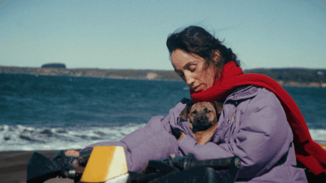 Filme da Quinzena dos Diretores de Cannes 'La Perra', do produtor de 'I'm Still Here', contratado por Lucky Number (EXCLUSIVO)
