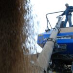 “Financeiramente irracional”: como as lições esquecidas do passado alimentaram a crise de abastecimento