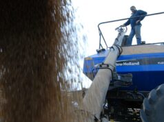 “Financeiramente irracional”: como as lições esquecidas do passado alimentaram a crise de abastecimento “Financeiramente irracional”: como as lições esquecidas do passado alimentaram a crise de abastecimento