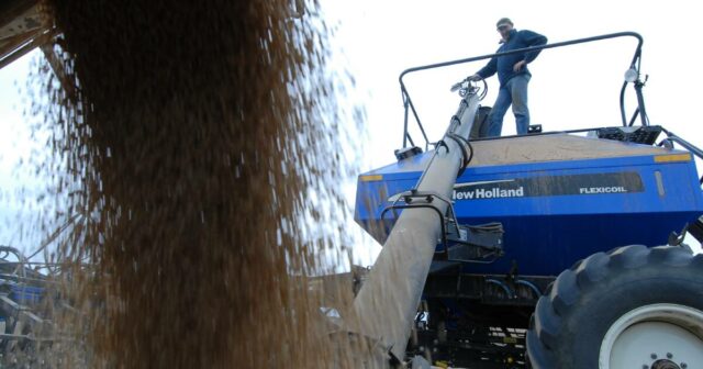 “Financeiramente irracional”: como as lições esquecidas do passado alimentaram a crise de abastecimento

