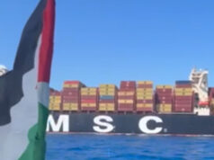 Flotilha Global Sumud interrompe navio de carga com destino a Israel Flotilha Global Sumud interrompe navio de carga com destino a Israel