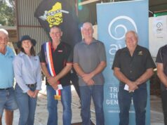 Foi o caso do mestre e de um jovem pistoleiro dominando as tábuas de tosquia Foi o caso do mestre e de um jovem pistoleiro dominando as tábuas de tosquia