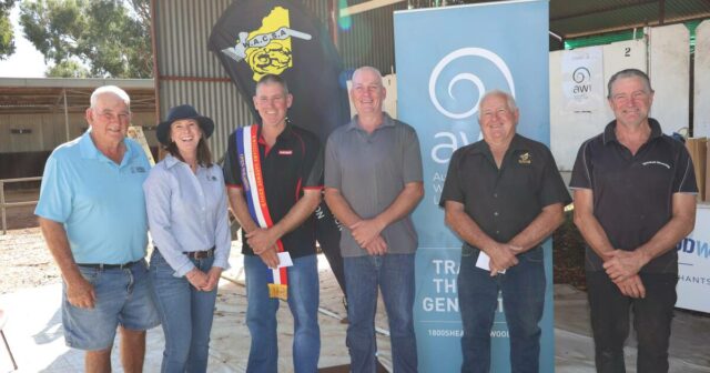 Foi o caso do mestre e de um jovem pistoleiro dominando as tábuas de tosquia
