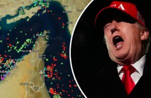 Forças dos EUA são alvos fáceis no Estreito de Ormuz, alerta especialista Forças dos EUA são alvos fáceis no Estreito de Ormuz, alerta especialista