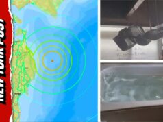 Forte terremoto de 7,5 provoca alertas de tsunami no Japão, ondas de 9 pés são esperadas Forte terremoto de 7,5 provoca alertas de tsunami no Japão, ondas de 9 pés são esperadas