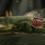 Fóssil de múmia de 289 milhões de anos apresenta as primeiras evidências de respiração baseada nas costelas