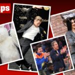 Fotos de estrelas da semana: Paris Hilton, Timothée Chalamet, Ben Stiller e mais