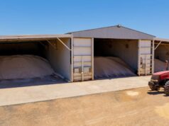 Governo do Fed intervém para ajudar a manter o fornecimento de fertilizantes aos agricultores Governo do Fed intervém para ajudar a manter o fornecimento de fertilizantes aos agricultores