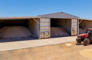 Governo do Fed intervém para ajudar a manter o fornecimento de fertilizantes aos agricultores Governo do Fed intervém para ajudar a manter o fornecimento de fertilizantes aos agricultores