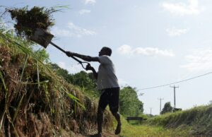 Guerra EUA-Israel contra o Irã empurrará 30 milhões de volta à pobreza, alerta ONU Guerra EUA-Israel contra o Irã empurrará 30 milhões de volta à pobreza, alerta ONU