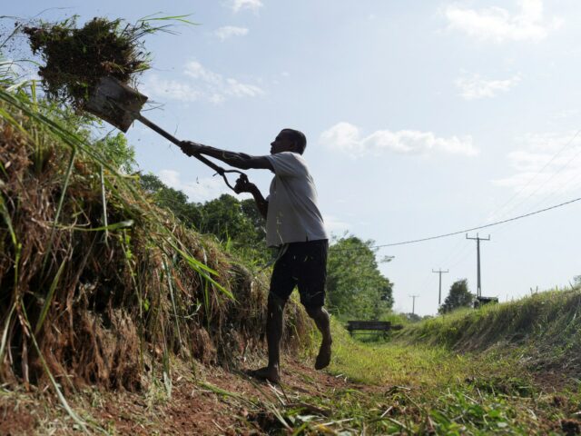 Guerra EUA-Israel contra o Irã empurrará 30 milhões de volta à pobreza, alerta ONU
