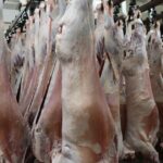 Guerra, preços altos e oferta restrita: a tempestade perfeita para processadores WA