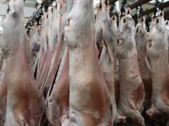 Guerra, preços altos e oferta restrita: a tempestade perfeita para processadores WA Guerra, preços altos e oferta restrita: a tempestade perfeita para processadores WA