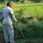 Haryana dará impulso ao turismo agrícola e homestays