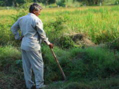 Haryana dará impulso ao turismo agrícola e homestays Haryana dará impulso ao turismo agrícola e homestays