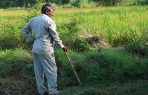 Haryana dará impulso ao turismo agrícola e homestays Haryana dará impulso ao turismo agrícola e homestays