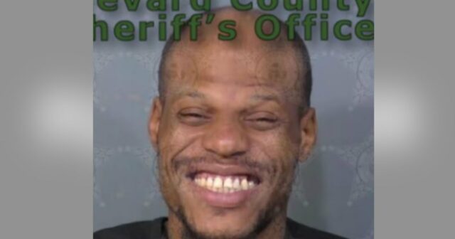 Alan Michael Mellow Mugshot Gabinete do Xerife do Condado de Barry