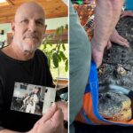 Albert, um crocodilo de estimação, foi apreendido em sua casa em Nova York em 2024