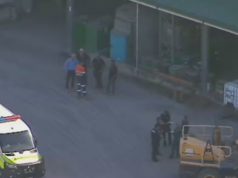 Homem de Queensland morre em acidente de trabalho envolvendo empilhadeira Homem de Queensland morre em acidente de trabalho envolvendo empilhadeira