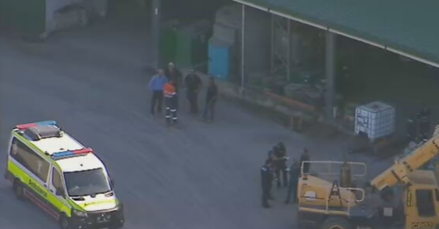 Homem de Queensland morre em acidente de trabalho envolvendo empilhadeira
