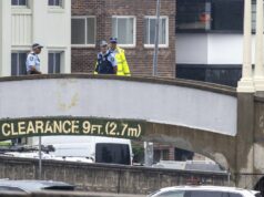 Homem é preso por imitar tiroteio ‘angustiante’ em Bondi Zayne McMillan foi preso após imitar o ataque terrorista de Bondi na mesma passarela onde o ataque foi realizado.