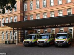 Homem lutando pela vida após suposto ataque de terror com martelo por uma mulher enquanto estava na cama de um hospital em Sydney Um paciente do hospital Royal Prince Alfred foi supostamente atacado por uma mulher com um martelo na madrugada de quinta-feira (imagem de banco de imagens)