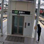 Elisio Melendez é acusado de empurrar Peter Michael Walbrun (à esquerda) em um suposto ataque angustiante capturado em imagens de vigilância