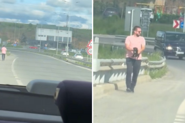 Homem vê cachorrinho na estrada e chora pelo que acontece a seguir – ‘Ele veio correndo’
