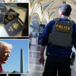 ICE lança novo esforço para reprimir ‘esquemas de turismo de nascimento’ nos EUA