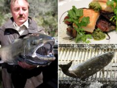 Iguaria californiana indisponível há 3 anos voltará em breve ao cardápio Iguaria californiana indisponível há 3 anos voltará em breve ao cardápio