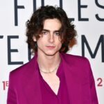 Internet desenterra comentários do velho Timothée Chalamet sobre ópera e balé após fila