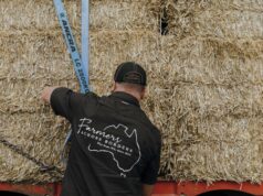 ‘Isso me atingiu’: os Lions clubes doam mais de US$ 50.000 para Farmers Across Borders 'Isso me atingiu': os Lions clubes doam mais de US$ 50.000 para Farmers Across Borders