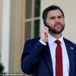 O chefe do exército do Paquistão, marechal de campo Asim Munir, coordenou o plano de paz proposto através de conversações paralelas com Vance e o enviado especial de Trump, Steve Witkoff, enquanto o ministro das Relações Exteriores iraniano, Abbas Araqchi, representou os interesses de Teerã.