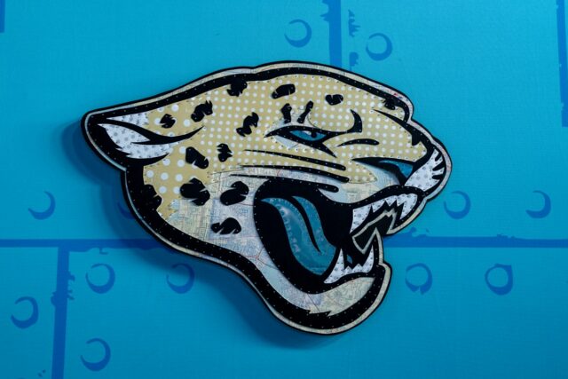 A general view of the Jacksonville Jaguars