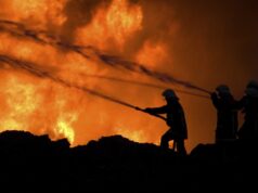 Kebakaran Hutan em Jepang Meluas, 3.000 Orang Dievakuasi Kebakaran Hutan em Jepang Meluas, 3.000 Orang Dievakuasi