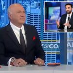 Kevin O'Leary chama o plano tributário de Mamdani em Nova York de 'pura estupidez cega' enquanto a riqueza foge da cidade