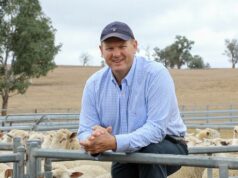 Mais cordeiros oriundos de borregas: principais parâmetros de referência para uma união bem-sucedida de borregas Mais cordeiros oriundos de borregas: principais parâmetros de referência para uma união bem-sucedida de borregas