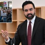 Mamdani vetará projeto de lei de 'zona tampão' nas escolas de Nova York para proteger manifestantes estudantis anti-ICE e pró-Palestina